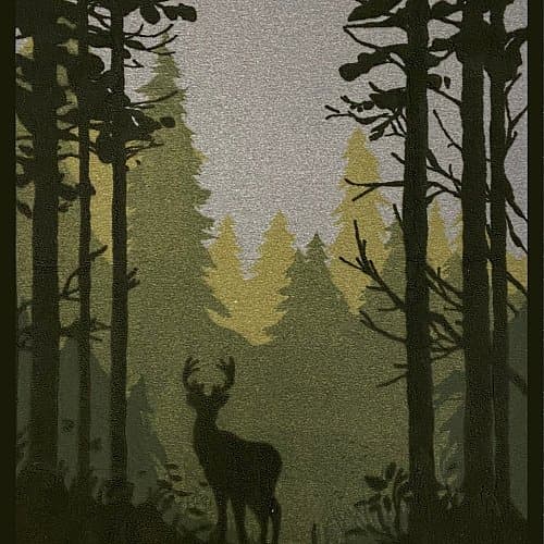 SILHOUETTE-VE.jpg