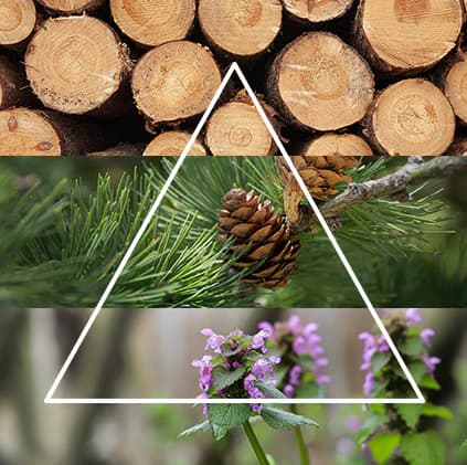 Piramide_CHALET_Bosco_Sereno.png.webp