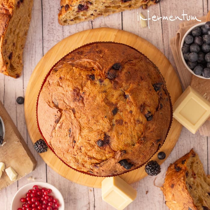 Infermentum_Il-Panettone-ai-Frut.jpg