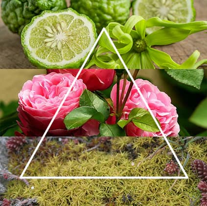 Piramide_PANAREA_Fresca_Campagna.webp
