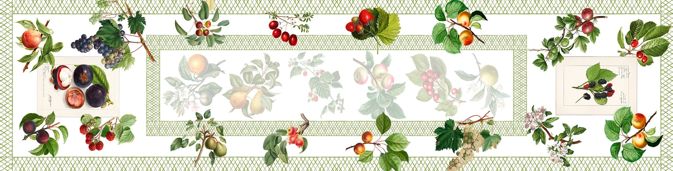 Summer-Fruit_RN_50x220cm-1.jpg