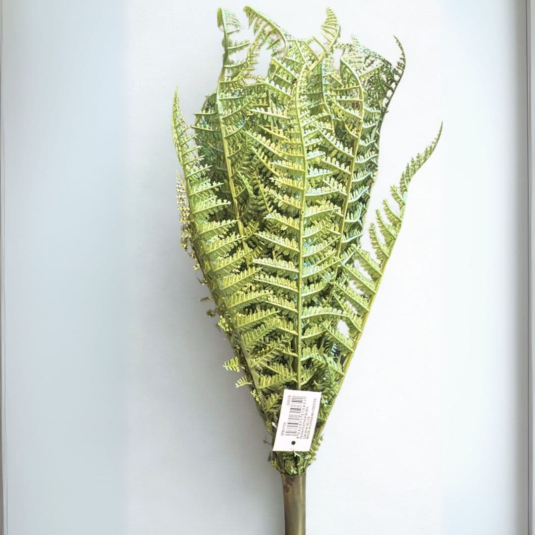 felce-artficiale-.jpg