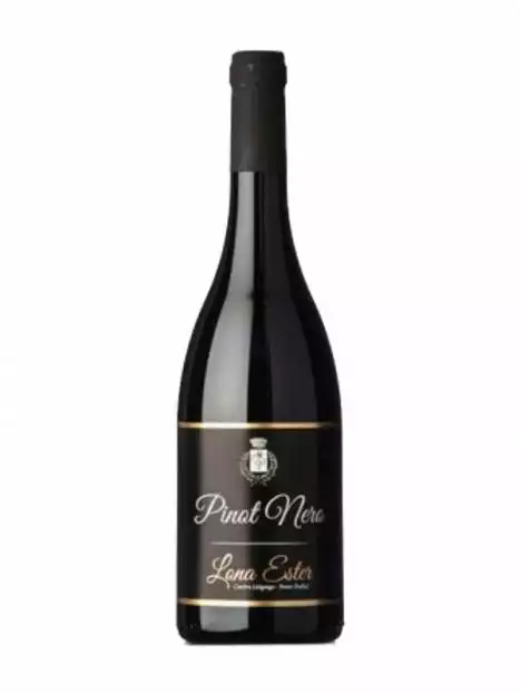 pinot-nero-trentino-doc-lona-ester.webp