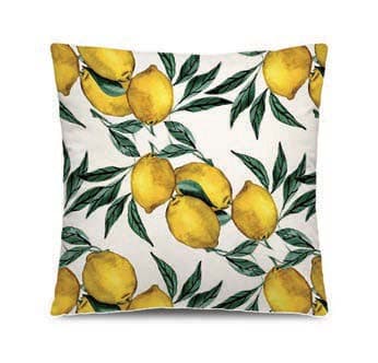 PODEVACHE-HOME-LIMONI.jpg