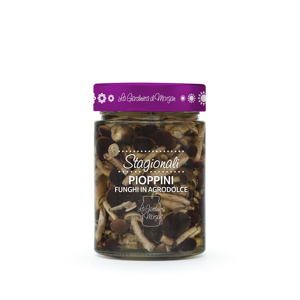 FUNGHI-PIOPPINI-MORGAN.jpg