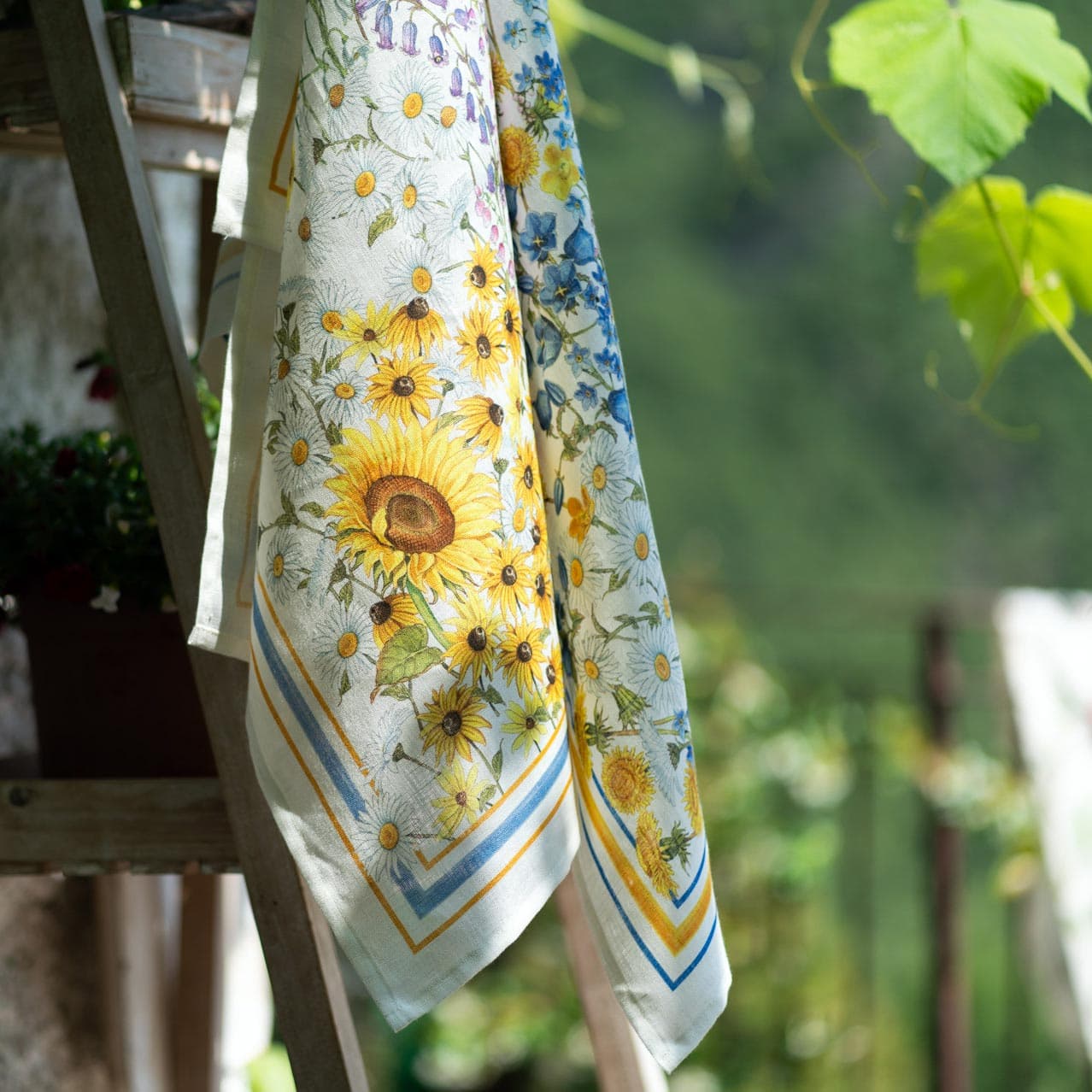 canovaccio-sungarden.jpg