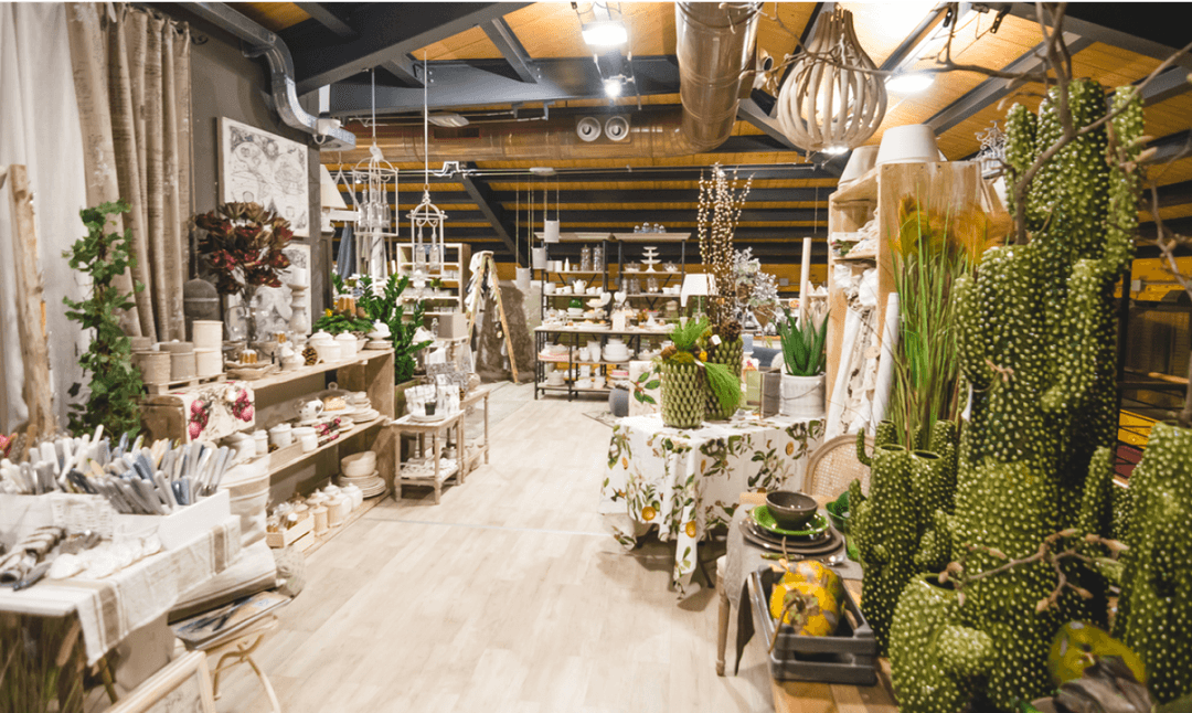 Stile Store: Negozio di arredamento con piante, ceramiche e accessori decorativi