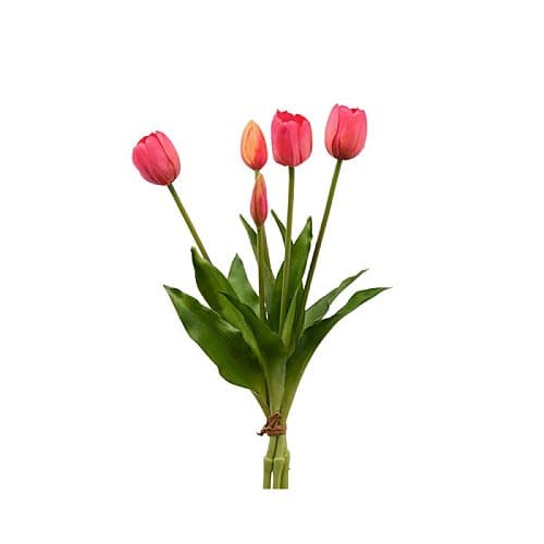 enzo-de-gasperi-ramo-5-tulipani-beauty-olis-h40cm.jpg