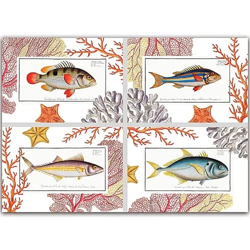 tovagliette-coral-bay-La-Bottega-di-Casa.jpg.webp