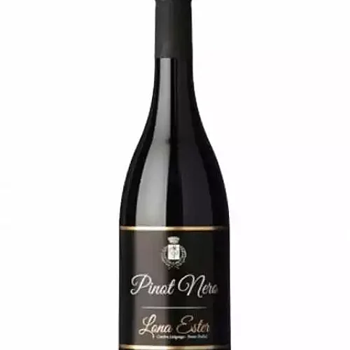 pinot-nero-trentino-doc-lona-ester.webp