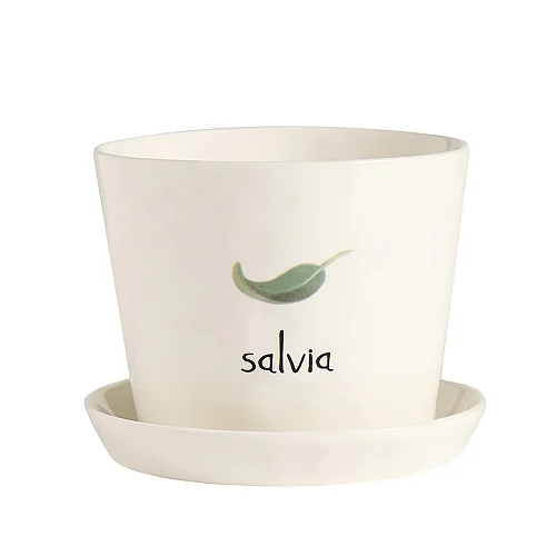 vaso_spezie_gres_salvia_SC_10010936_1394x1394.jpg.webp